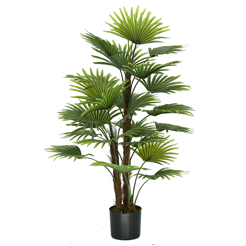 رقم العضوية