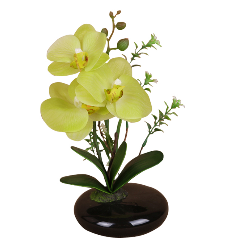 رقم العضوية