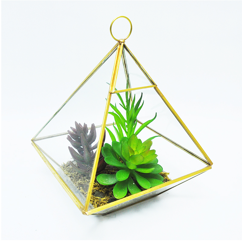 رقم العضوية