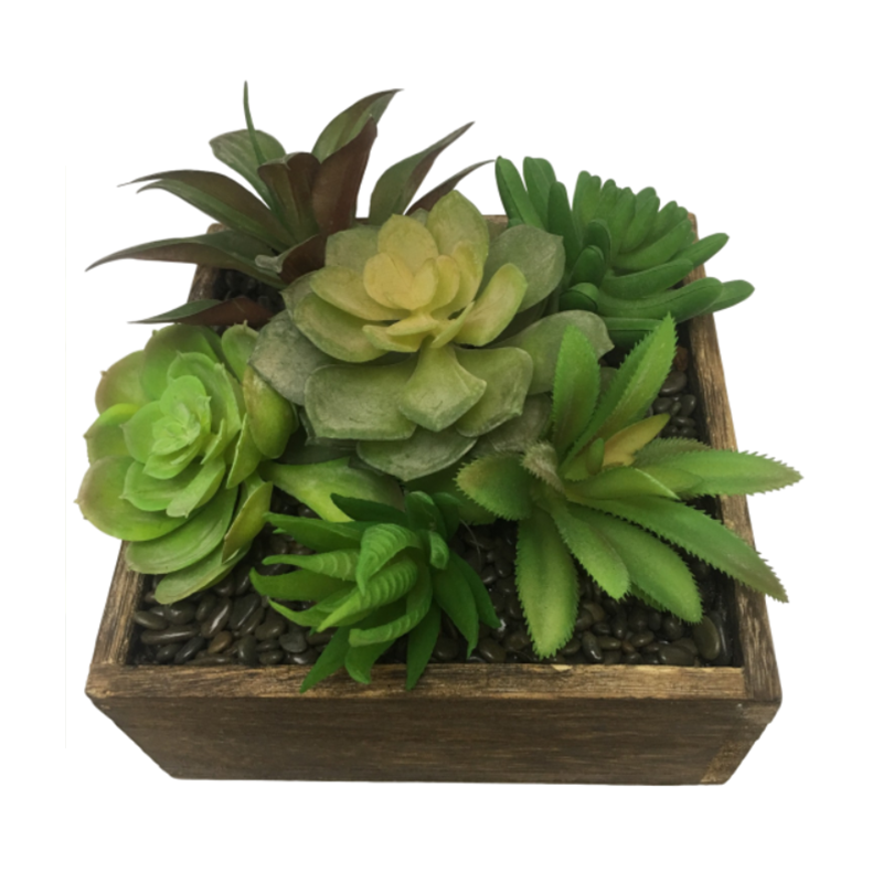 رقم العضوية