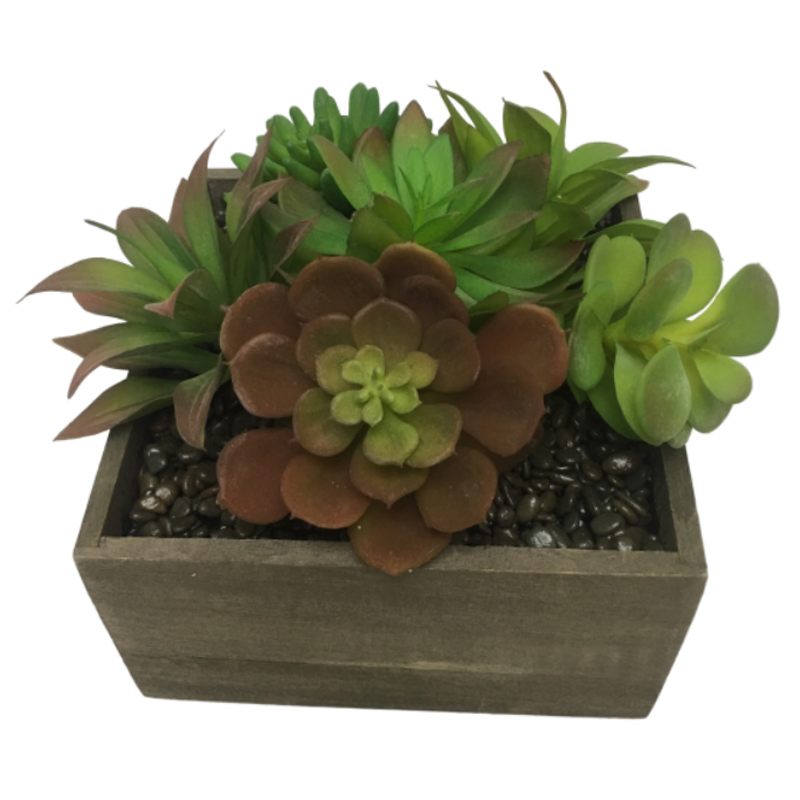 رقم العضوية