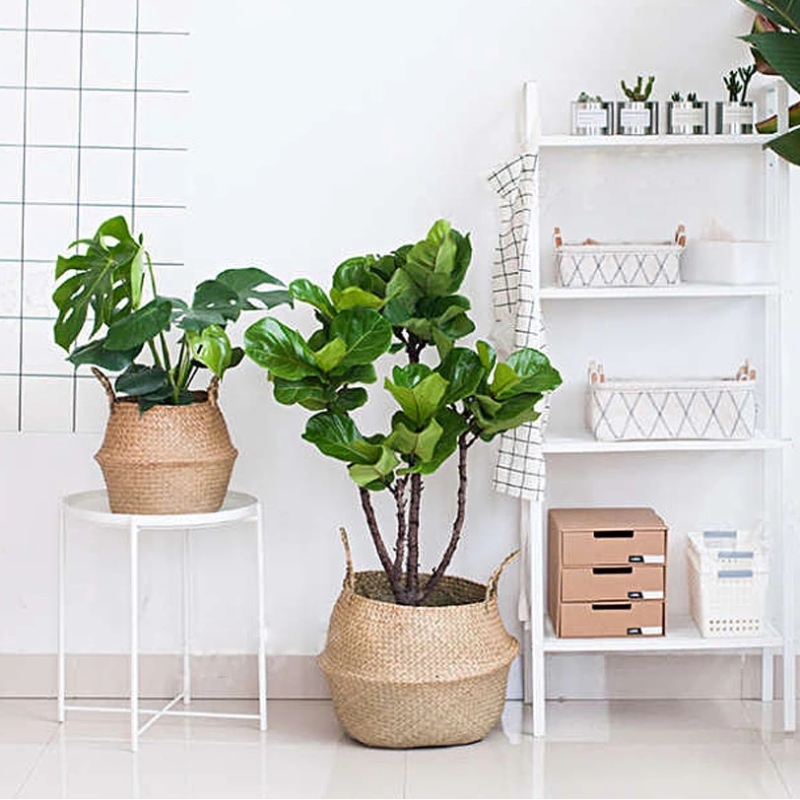 سلة نباتات منسوجة من الأعشاب البحرية لتخزين سلة الأعشاب البحرية المعلقة