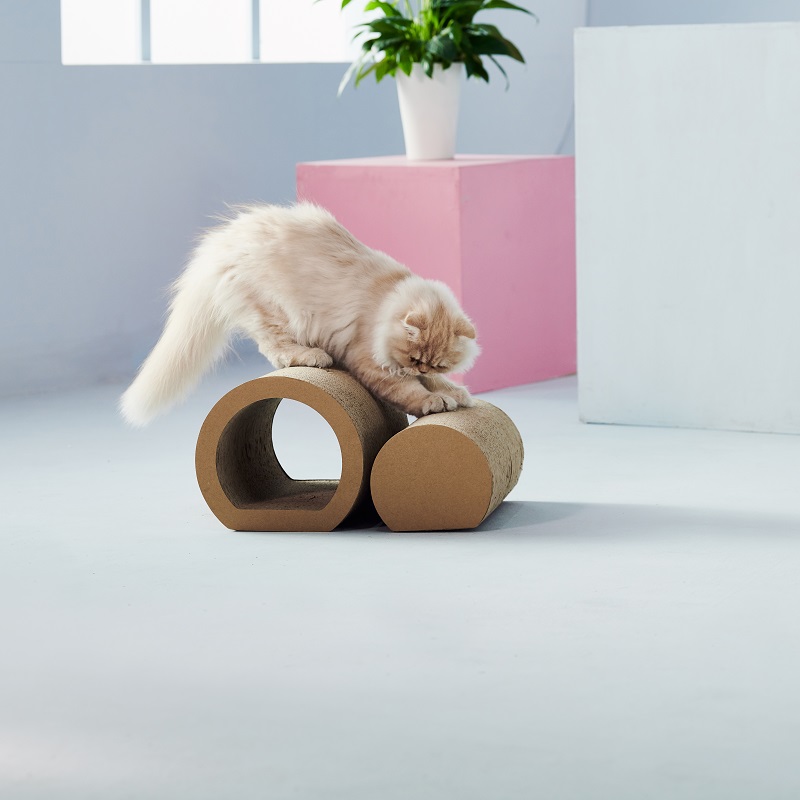 القط المصيد