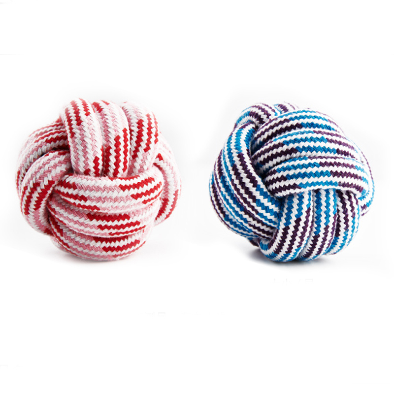 زينة الحيوانات الأليفة