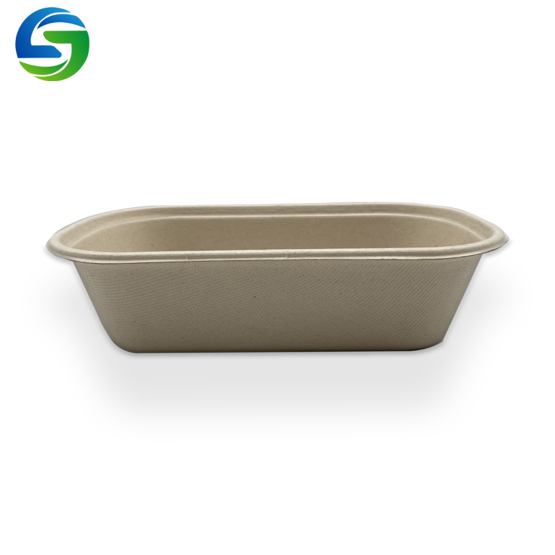 وعاء سلطة صديق للبيئة يمكن التخلص منه