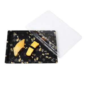 السوشي صينية X-09