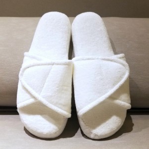 تيري طباعة الشرائح