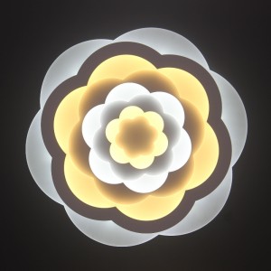 مصباح السقف AC805