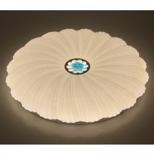 مصباح السقف CX202