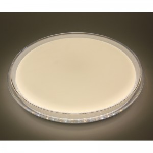 CX293 مصباح سقف