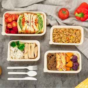 مربعة الشكل صديقة للبيئة يمكن التخلص منها سماد حاويات تخزين المواد الغذائية الجاهزة الجاهزة نشا الذرة حاوية طعام قابلة للتحلل