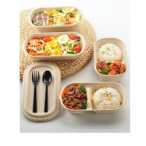 علب الوجبات السريعة البيضاوية القابلة للتحلل ، حاويات تغليف أغذية الباجاس القابلة للتحلل مع غطاء شفاف