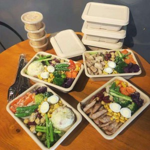 مستطيل صديق للبيئة قابل للتحلل حاويات تغليف المواد الغذائية الجاهزة الجاهزة نشا الذرة حاوية طعام يمكن التخلص منها