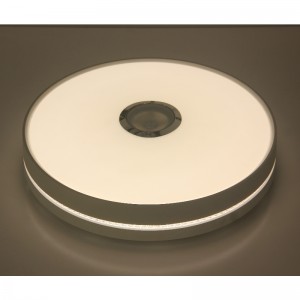 MU111 السقف مصباح