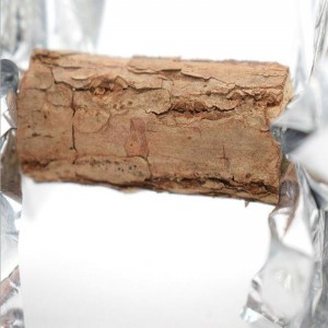 بوليغونوم سيبولدي