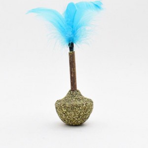 القط مصاصة بهلوان النعناع