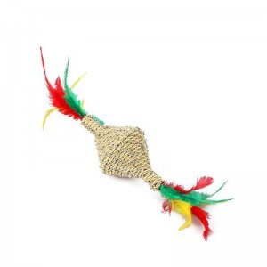 القط السيسال اللعب