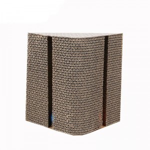 مثلث القط انتزاع مجلس