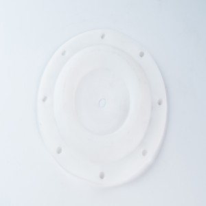 الشركة المصنعة للمضخة الهوائية المطاط الحجاب الحاجز PTFE الحجاب الحاجز لأجزاء الملحقات الهوائية منظم