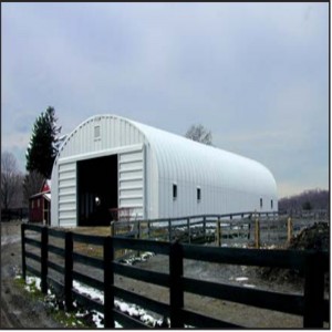 هيكل الإغاثة في حالات الطوارئ