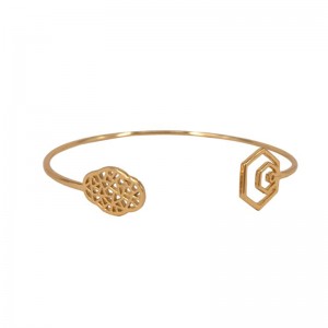 بيجونيا سوار زهرة مفتوحة