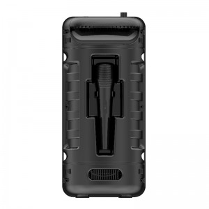 FB-PS8908B بلوتوث حزب المتكلم مع إضاءة LED