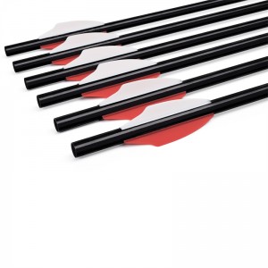 ايلونج في الهواء الطلق 110300-01 20 بوصة إيرغون الألومنيوم رمح القوسون بولت الرماية arrow معدات الرماية