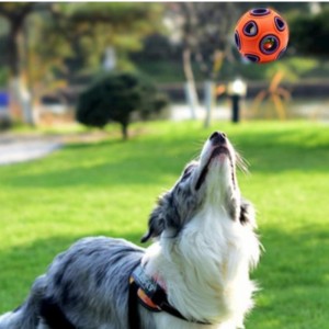 أدى اللعب العائمة الكلب