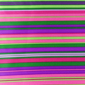 قم بإعادة تدوير كيس بوليستر قماش الحذاء