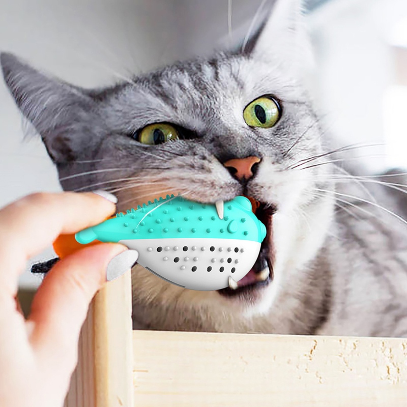 Furjoyz بالجملة مضحك الحيوانات الأليفة اللعب فرشاة الأسنان التفاعلية لعبة المحمولة القط ذكي نظيفة الأسنان المطاط catnip القط لعبة