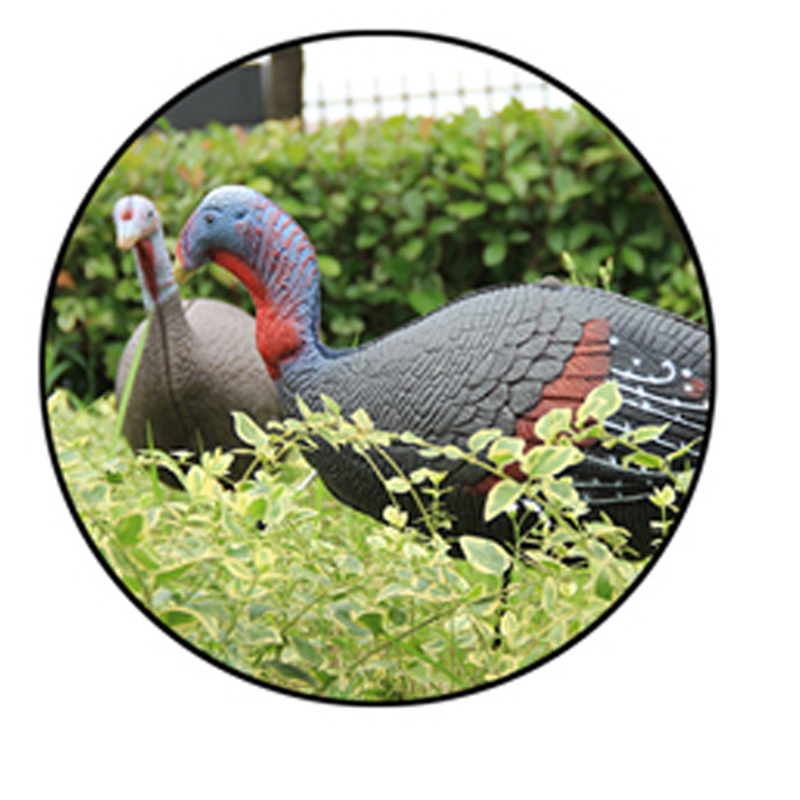 عيد شكر سعيد