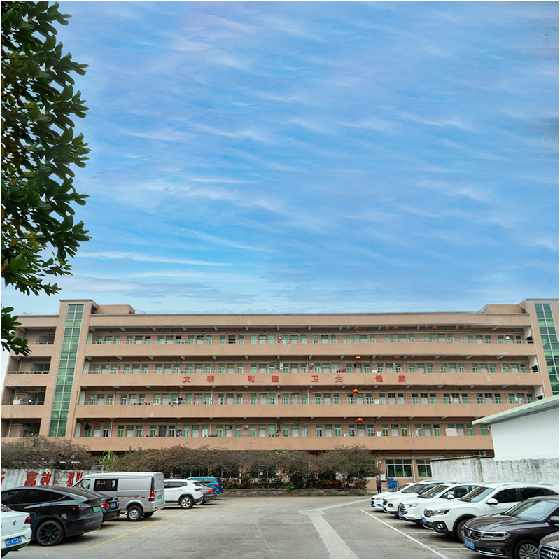 كيف يبدو مصنع قالب الحقن في عينيك?