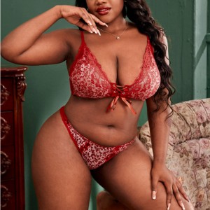 مجموعة الملابس الداخلية المثيرة مجموعة الملابس الداخلية مثيرة مع ربطة عنق الحبل الأمامي