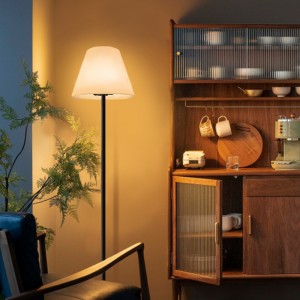 في الهواء الطلق/indoor Touch Control RGB LED LED LAMP ، مصابيح أرضية متزايدة في أوروبا الحديثة مصباح أرضي للمنزل لغرفة المعيشة ، غرفة نوم ، حديقة ، ...