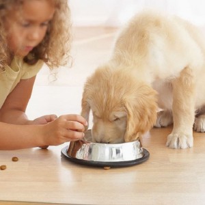 2022 Amazon Hot Sale Chair Mat for Hardwood Floor Protect