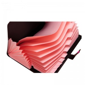 مجلد توسيع A5 الحرف حجم PP جيوب البلاستي