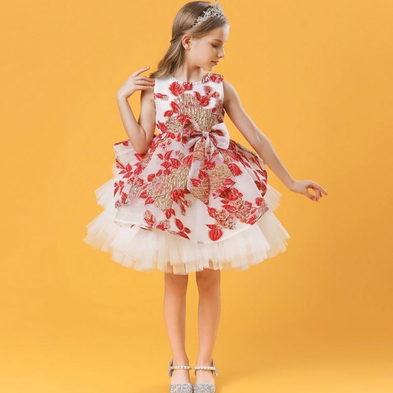 Baige Hot Sale Style New 3-10years Girl Kids Little Girls Flowers Bows Dowrodery Dress Bress Birth