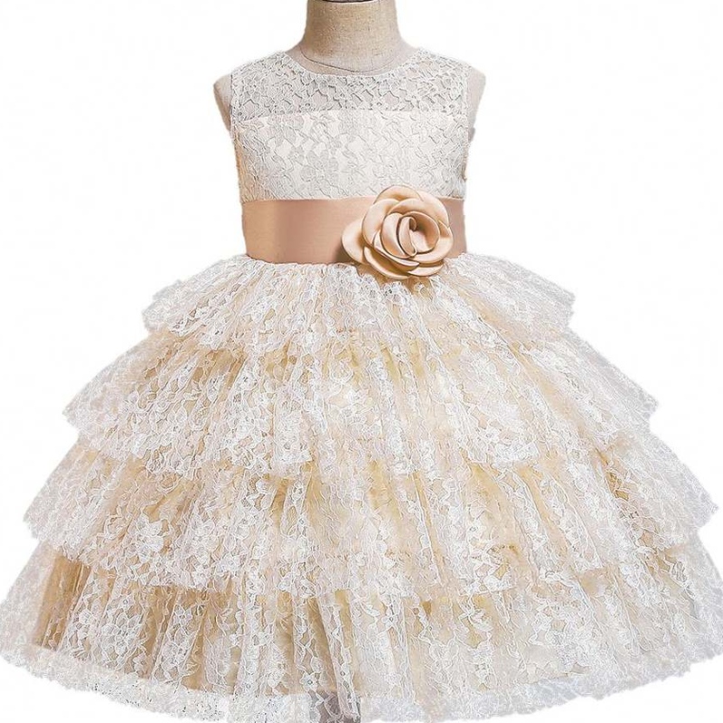 Baige Summer Fashion Lace Tulled Beading Big Bir Birity Birthdy Birth Ball Ball Virts Flower Girl Dresses