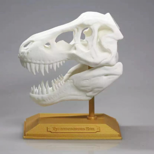 البلاستيك نموذج ثلاثي الأبعاد خدمة الطباعة