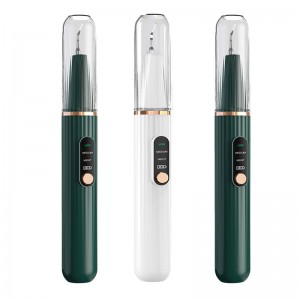 استخدام المنزل ، التصور ، منظف حساب التفاضل والتكامل الأسنان بالموجات فوق الصوتية ، كاميرا مدمجة عالية الدقة وضوء LED مع 3 أوضاع من ...