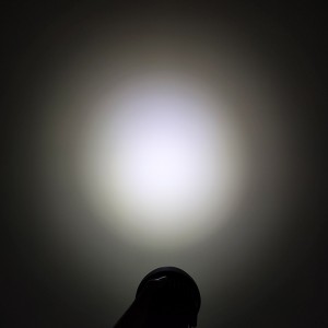 LEDECH LED WONG LIGHT 10842