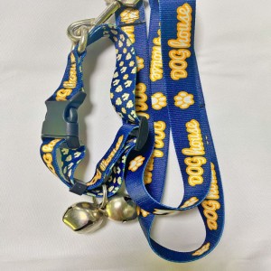 مقود الحيوانات الأليفة