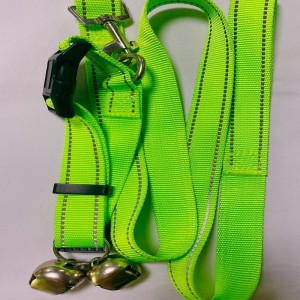 مقود الحيوانات الأليفة