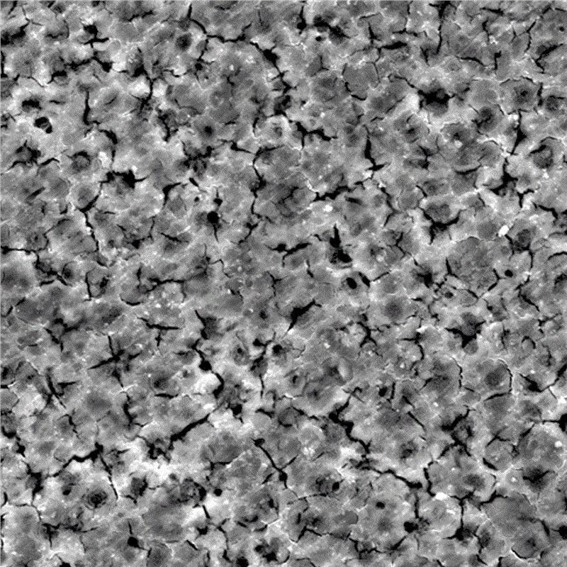 برش تكنولوجيا سبيكة المغنيسيوم