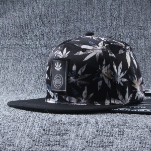 منحنى تخصيص المصنع مسطح BRIM 6 لوحة مقاومة للماء Hip Hop Style CAP Baseball Cap