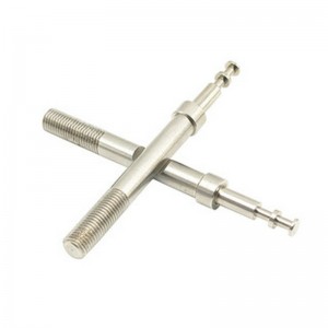 تصنيع CNC من البراغي الطويلة على شكل الأجزاء الطبية الأجزاء غير القياسية معالجة عمود الدقة الدقة