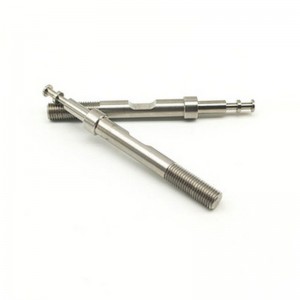 تصنيع CNC من البراغي الطويلة على شكل الأجزاء الطبية الأجزاء غير القياسية معالجة عمود الدقة الدقة