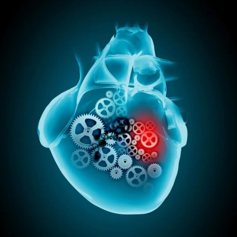 التقدم البحثي لـ NAD+في علاج أمراض القلب والأوعية الدموية