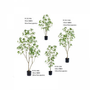 بيريس جابونيكا