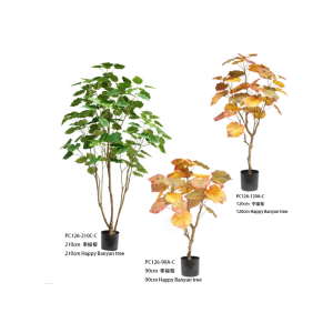 شجرة بانيان سعيدة